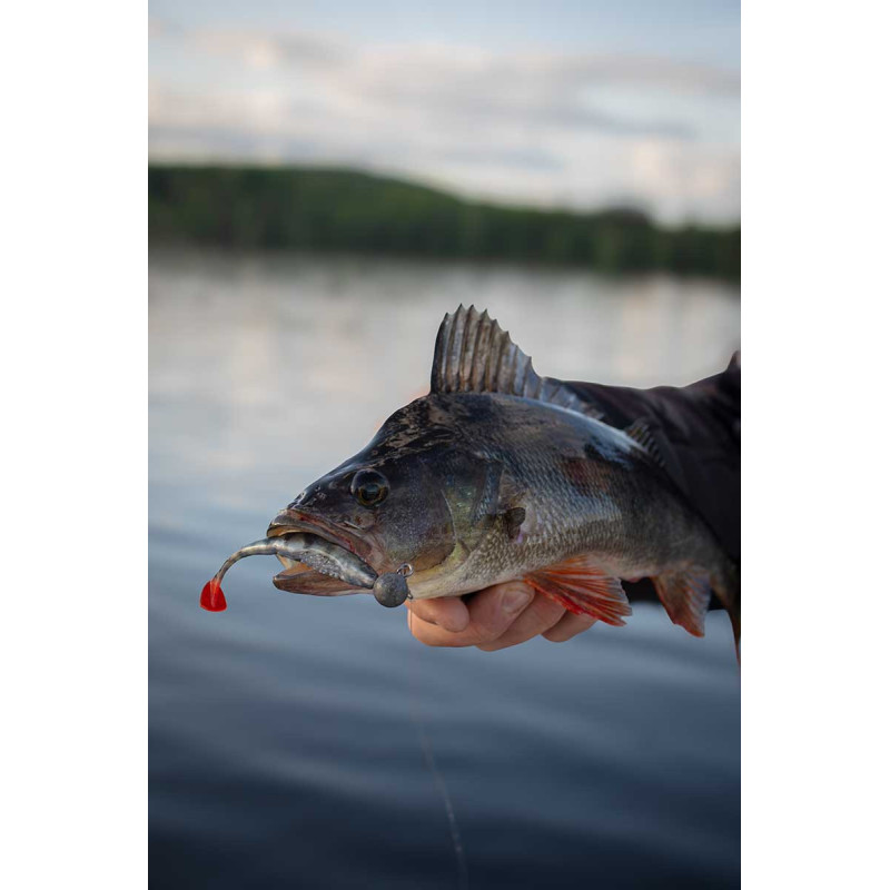 Fox Rage Scent Shads Crystal 11 CM - Centrum wędkarskie - Sklep wędkarski Jarofishing Fox Rage Scent Shads Crystal 11 CM - Centrum wędkarskie - Sklep wędkarski Jarofishing