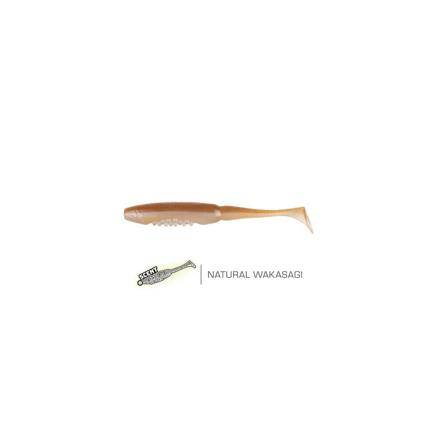 Fox Rage Scent Shads Natural Wakasagi 11 CM - Centrum wędkarskie - Sklep wędkarski Jarofishing Fox Rage Scent Shads Natural Wakasagi 11 CM - Centrum wędkarskie - Sklep wędkarski Jarofishing