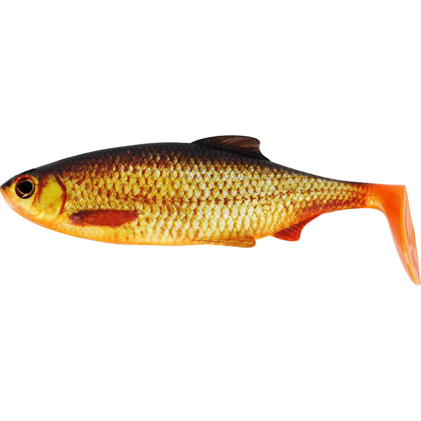 Westin Ricky the Roach 14cm - Real Rudd - Centrum wędkarskie - Sklep wędkarski Jarofishing Westin Ricky the Roach 14cm - Real Rudd - Centrum wędkarskie - Sklep wędkarski Jarofishing