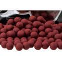 Kulki Starbaits Probiotic Strawberry & Spice 14mm 800g - Centrum wędkarskie - Sklep wędkarski Jarofishing