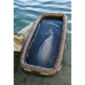 Mata Solar SP C-TECH Floatation Cell - Centrum wędkarskie - Sklep wędkarski Jarofishing