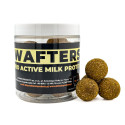 Waftersy Ultimate Products Pro Active Milk Protein Roz.24mm - Centrum wędkarskie - Sklep wędkarski Jarofishing Waftersy Ultimate Products Pro Active Milk Protein Roz.24mm - Centrum wędkarskie - Sklep wędkarski Jarofishing