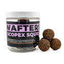 Waftersy Ultimate Products Scopex Squid Roz.24mm - Centrum wędkarskie - Sklep wędkarski Jarofishing