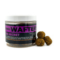 Waftersy Ultimate Products The Secret Dumbell Roz.14/18mm - Centrum wędkarskie - Sklep wędkarski Jarofishing Waftersy Ultimate Products The Secret Dumbell Roz.14/18mm - Centrum wędkarskie - Sklep wędkarski Jarofishing