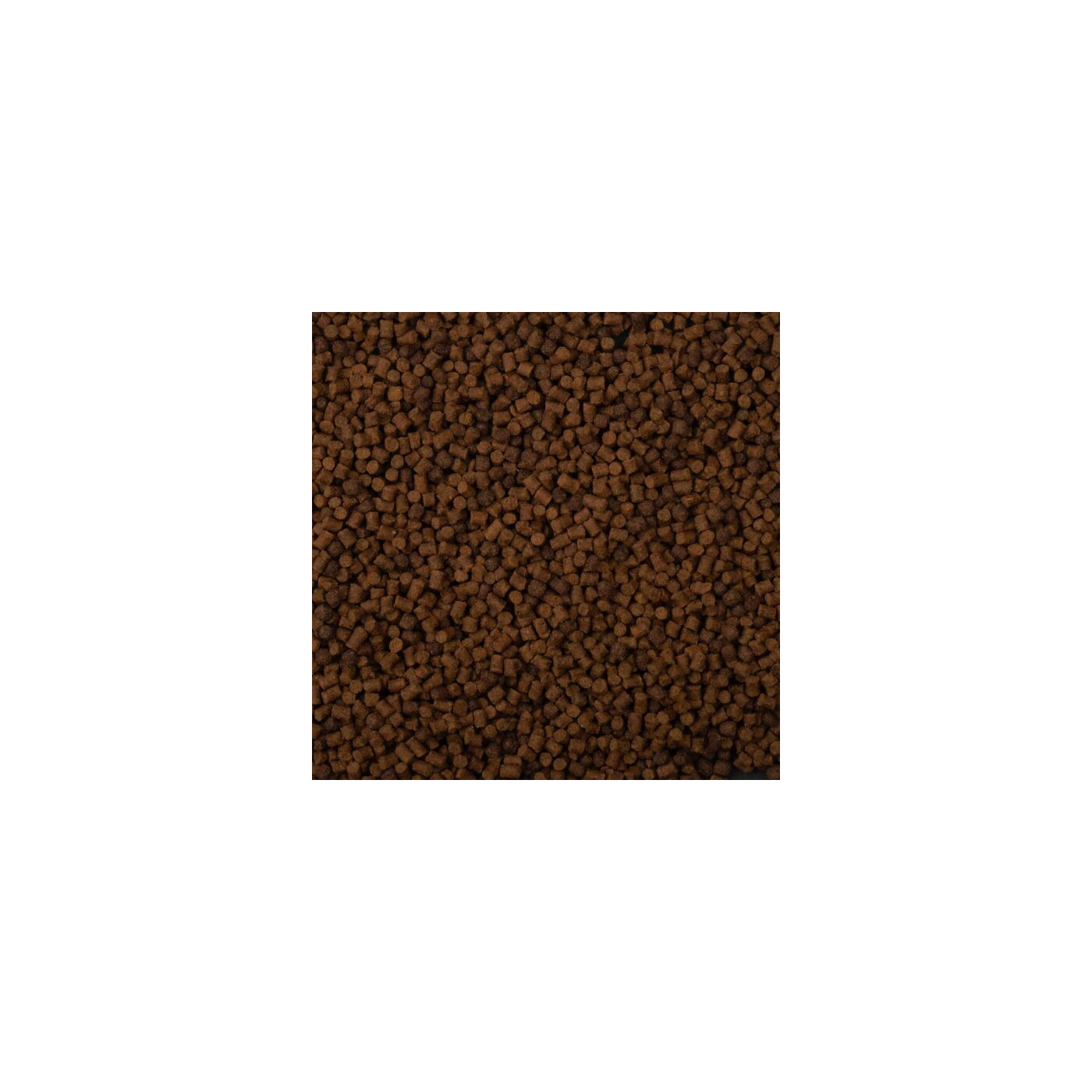 Pellet Method Feeder BaitNow – FLOW 2.8mm - Centrum wędkarskie - Sklep wędkarski Jarofishing Pellet Method Feeder BaitNow – FLOW 2.8mm - Centrum wędkarskie - Sklep wędkarski Jarofishing