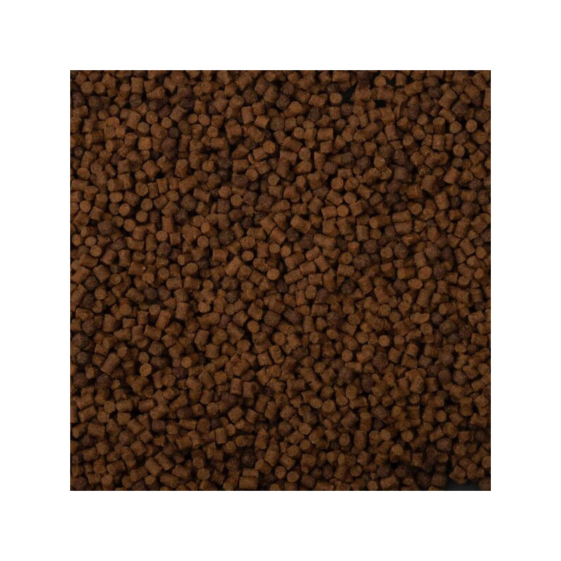 Pellet Method Feeder BaitNow – FLOW 2.8mm - Centrum wędkarskie - Sklep wędkarski Jarofishing Pellet Method Feeder BaitNow – FLOW 2.8mm - Centrum wędkarskie - Sklep wędkarski Jarofishing