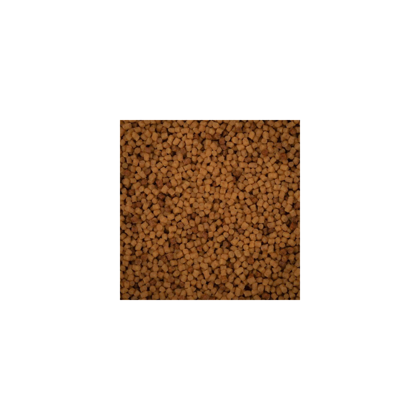 Pellet Method Feeder BaitNow – Original Coarse 2mm - Centrum wędkarskie - Sklep wędkarski Jarofishing Pellet Method Feeder BaitNow – Original Coarse 2mm - Centrum wędkarskie - Sklep wędkarski Jarofishing