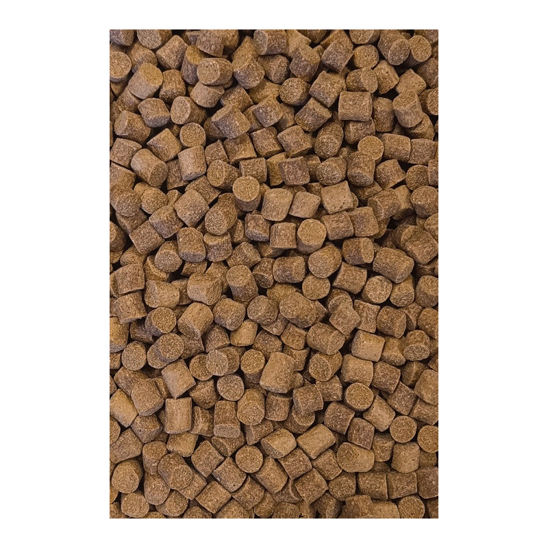 Pellet Feeder Bait JASNY 9mm Match-Feeder - Centrum wędkarskie - Sklep wędkarski Jarofishing Pellet Feeder Bait JASNY 9mm Match-Feeder - Centrum wędkarskie - Sklep wędkarski Jarofishing