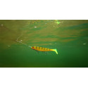Fox Rage Ultra UV Pro Shad 2 Natural Perch 23 CM - Centrum wędkarskie - Sklep wędkarski Jarofishing Fox Rage Ultra UV Pro Shad 2 Natural Perch 23 CM - Centrum wędkarskie - Sklep wędkarski Jarofishing