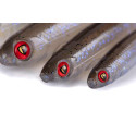 Guma Fox Rage Slick Shad 13cm - Electric Flash - Centrum wędkarskie - Sklep wędkarski Jarofishing Guma Fox Rage Slick Shad 13cm - Electric Flash - Centrum wędkarskie - Sklep wędkarski Jarofishing