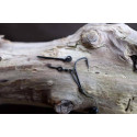 NASH WKRĘT+ OWAL BAIT SCREWS 8MM - Centrum wędkarskie - Sklep wędkarski Jarofishing NASH WKRĘT+ OWAL BAIT SCREWS 8MM - Centrum wędkarskie - Sklep wędkarski Jarofishing