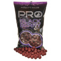 Kulki proteinowe Starbaits Probiotic Blackberry 14mm 0,8kg - Centrum wędkarskie - Sklep wędkarski Jarofishing Kulki proteinowe Starbaits Probiotic Blackberry 14mm 0,8kg - Centrum wędkarskie - Sklep wędkarski Jarofishing