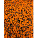 Sonubaits Band'Um Wafters 6mm - Chocolate Orange - Centrum wędkarskie - Sklep wędkarski Jarofishing