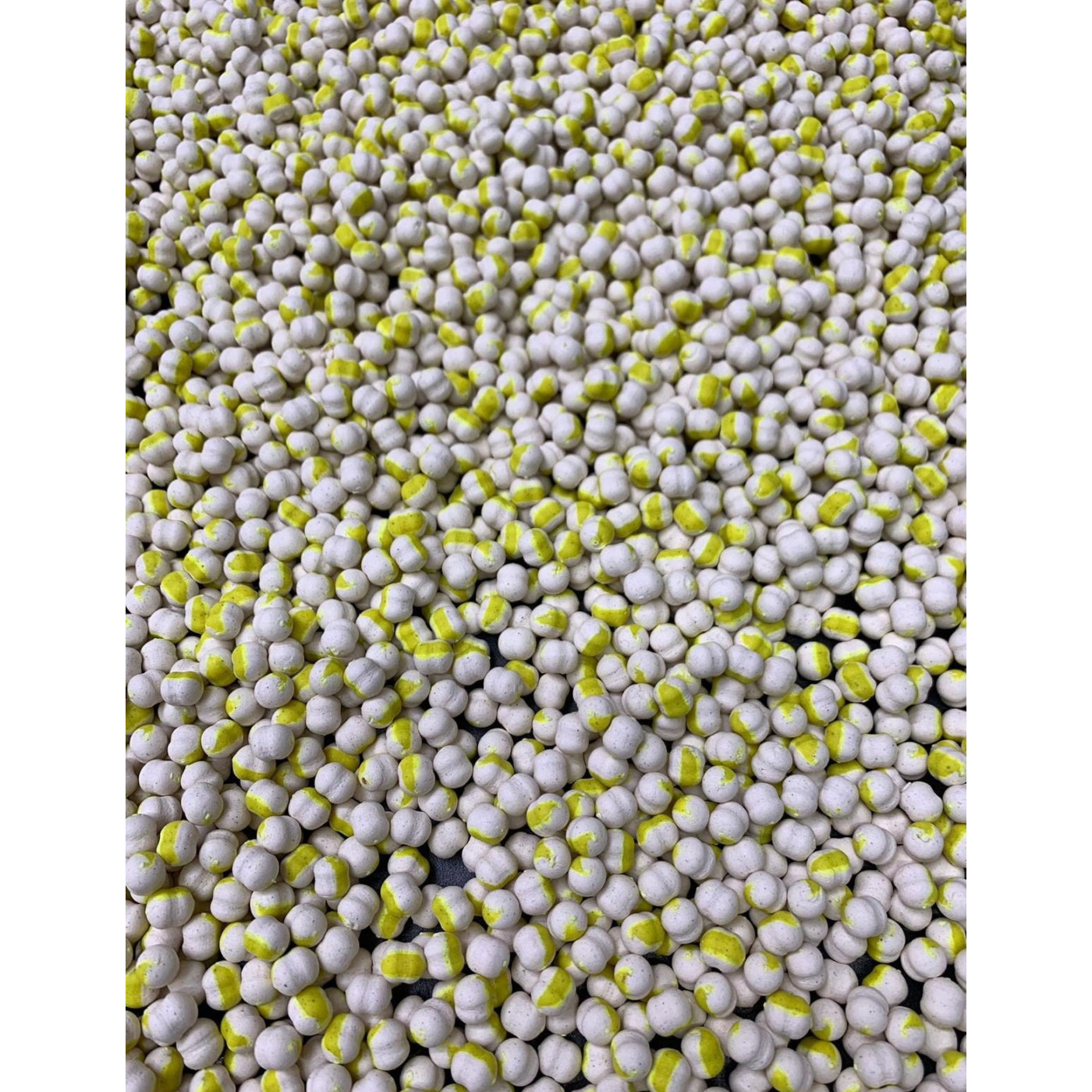 Sonubaits Band'Um Wafters 8mm - Pineapple & Coconut / Pinacolada - Centrum wędkarskie - Sklep wędkarski Jarofishing Sonubaits Band'Um Wafters 8mm - Pineapple & Coconut / Pinacolada - Centrum wędkarskie - Sklep wędkarski Jarofishing
