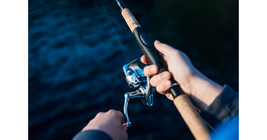 Wędka Feeder: Kompletny Przewodnik Dla Początkujących