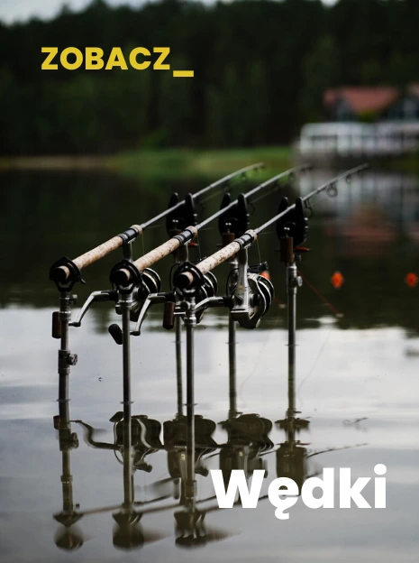 wędki